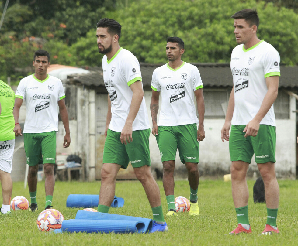 Clubes aprueban cuatro microciclos para la Verde