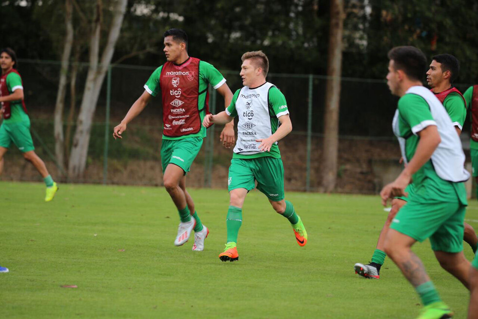 La Verde jugará antes de la Copa América dos amistosos