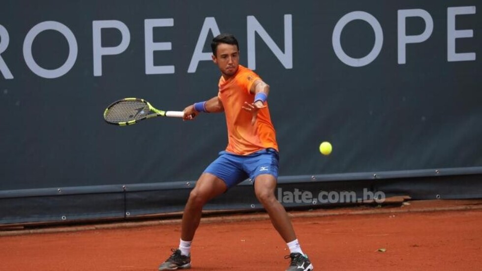 Dellien pierde contra un top 20 en hamburgo