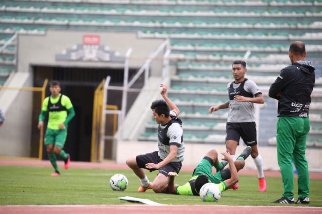 La Verde tiene previsto jugar amistosos en su preparación