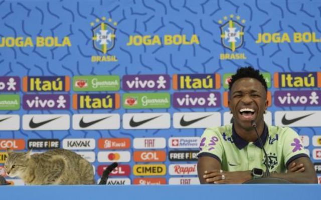 Un gato irrumpe en la rueda  de prensa de Vinicius Junior