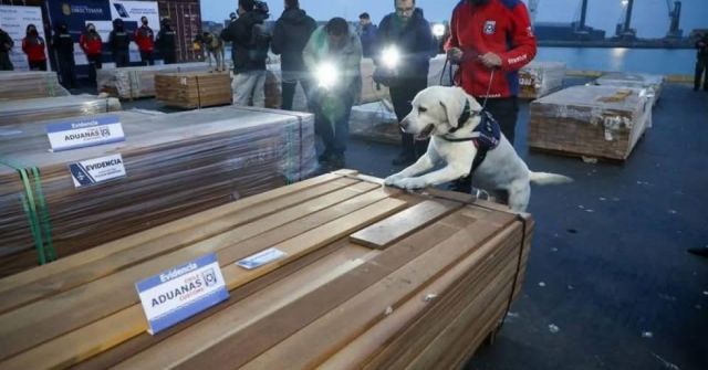 Chile incauta 108 toneladas de droga ocultas en madera exportada desde Bolivia