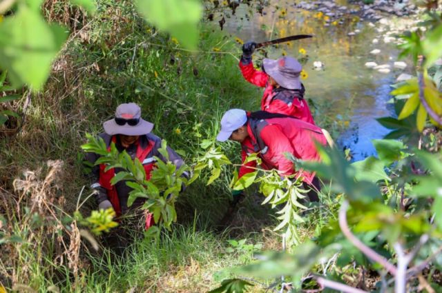 Alcaldía inicia la limpieza de las bocas tormentas 