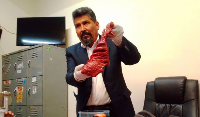 Proponen normar el comercio de la carne de burro en Bolivia