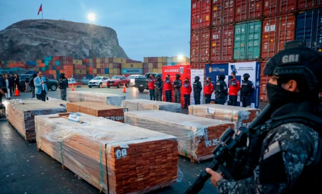 ¿Casualidad? El caso “narcomaderas” coincide con la caída de las exportaciones forestales chilenas