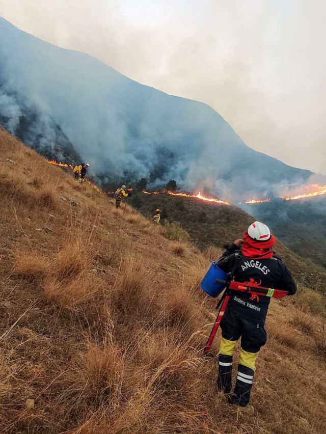 Incendios: Crece la presión para dar con los autores y crear el delito de “ecocidio”
