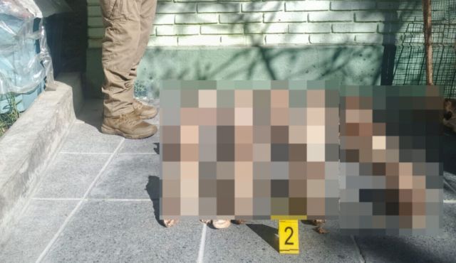 Investigan hallazgo de 25 cráneos de presuntos canes en un basurero de Villa San Antonio
