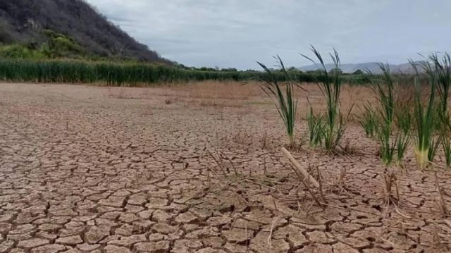 Experto: Bolivia podría enfrentar temperaturas extremas