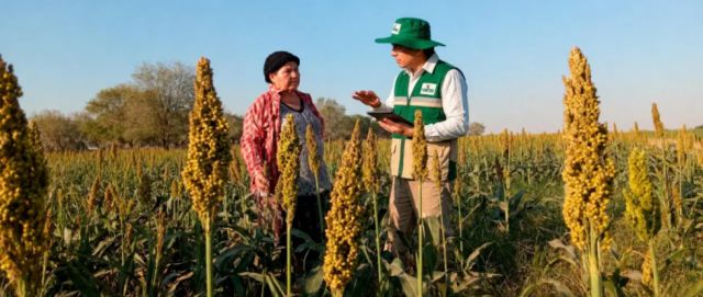 INE se prepara para el Censo Agropecuario