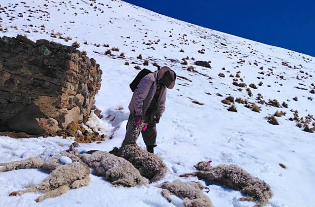 Gobierno evalúa declarar alerta nacional tras emergencias por El Niño