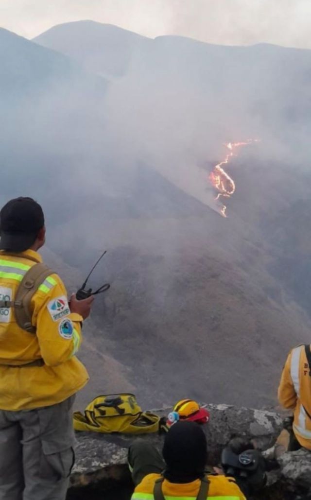 Incendio consumió 5.145 hectáreas y mató 51 cabezas de ganado