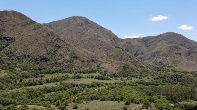 Tres razones por las que visitar Pinos Sud vale la pena