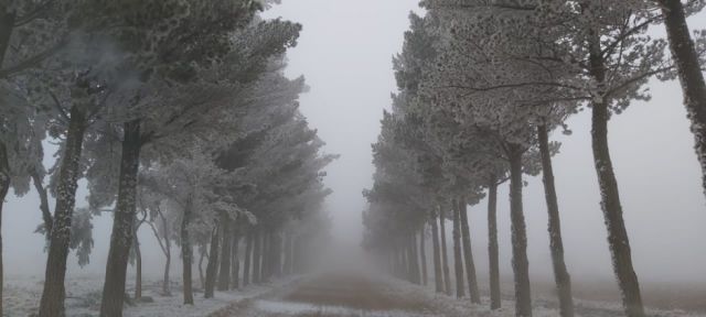 Una nevada tiñe de blanco la zona alta de Tarija (Imágenes)