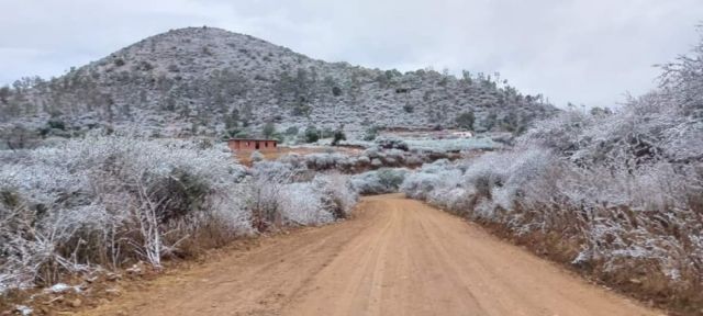 Imágenes que muestran el efecto de una nevada sorpresiva en Tarija