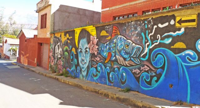 Los murales y la naturaleza