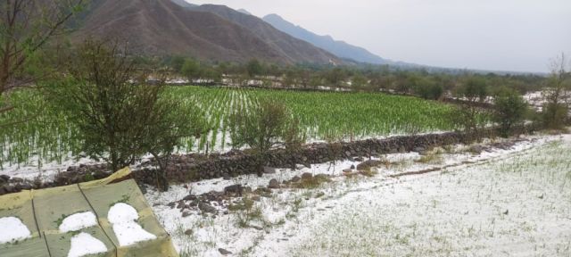 Techos de viviendas y cultivos agrícolas afectados por la granizada en comunidades de Tarija