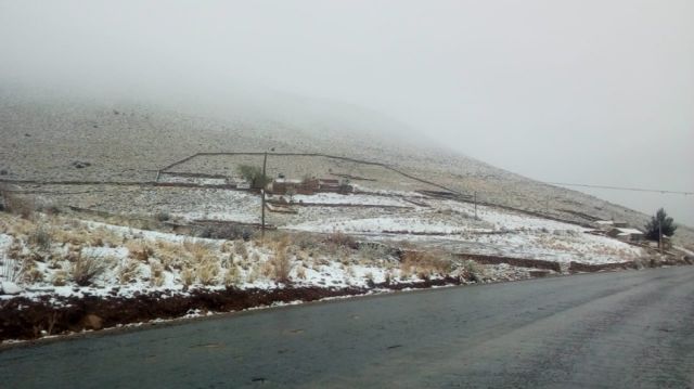 Zona alta de Tarija se viste de blanco
