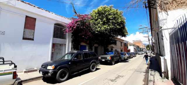 La planta de Santa Rita adorna las calles de Tarija