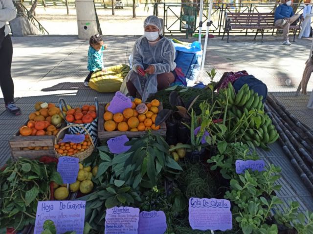 Feria de plantas medicinales en el parque Temático