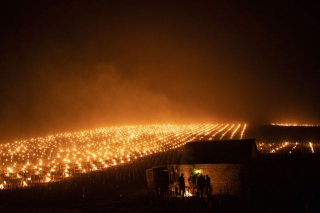 Fuego para salvar los viñedos en Chablis -Francia (Fotos)