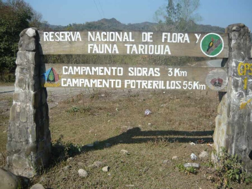 tema del día