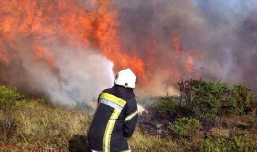 ¿Qué debemos hacer para la prevención de un incendio forestal?