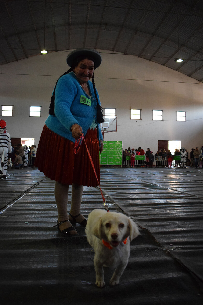 Día del Perro (6)