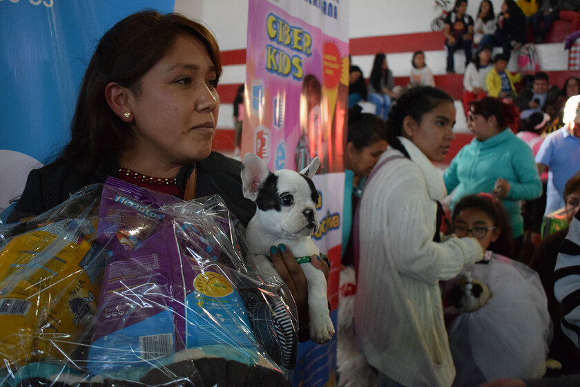 Día del Perro (4)
