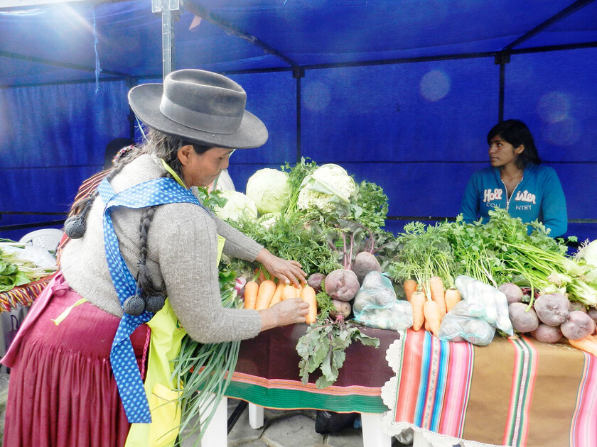 INCENTIVOS PRODUCTIVOS TARIJA