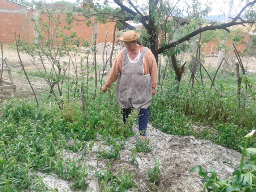 GRANIZO EN COMUNIDADES DE TARIJA
