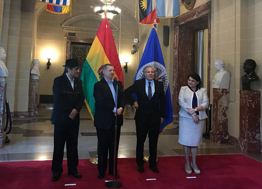 OEA-web