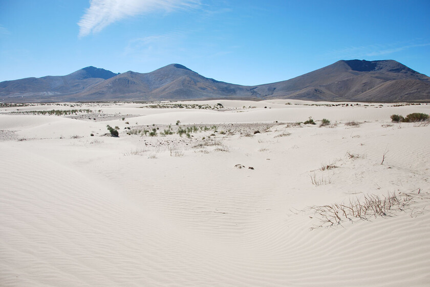 DUNAS DE ARENA EN TARIJA