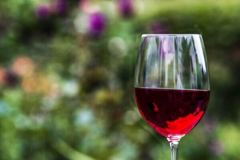 copa-de-vino-cata - copia