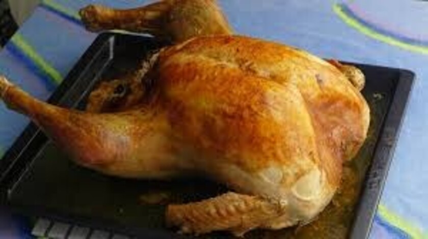 Pavo - copia