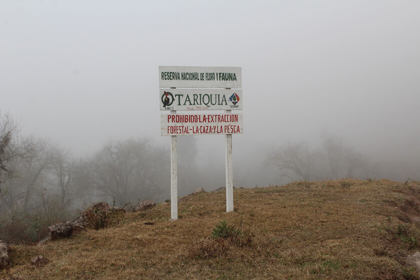 TEMA-DEL-DÍA