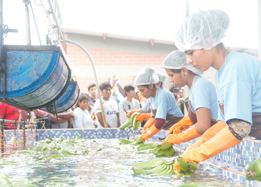 UNION EUROPEA INVITA A PRESENTAR PROYECTOS TARIJA