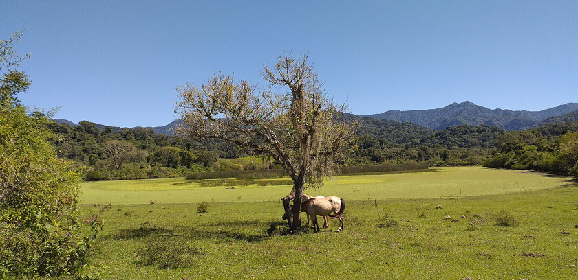 TEMA-DEL-DÍA