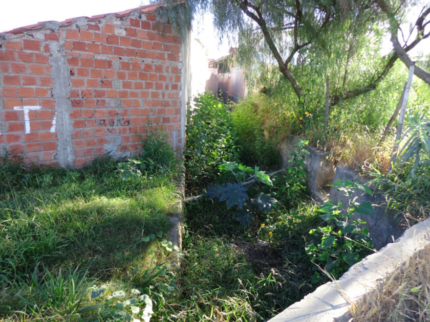 TEMA-DEL-DÍA