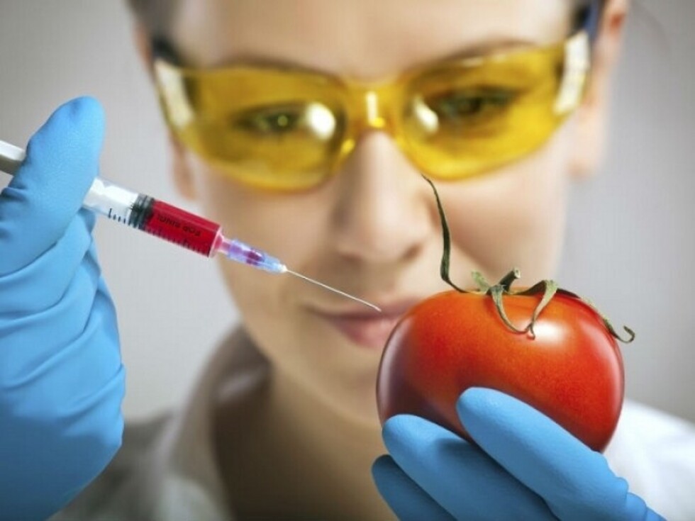 Califican la propuesta sobre transgénicos de “antinacional”