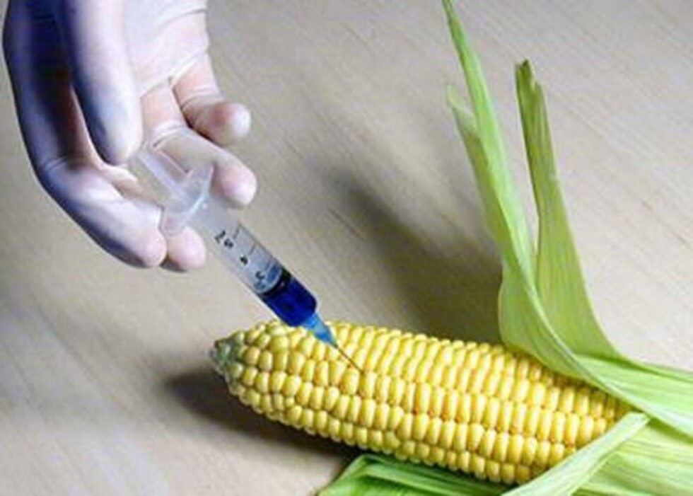 Capitalismo y agroindustria prevalecen en la Cumbre