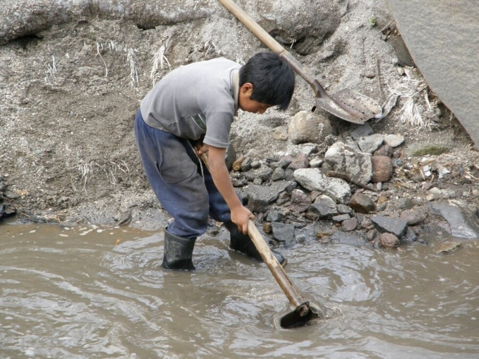 168 millones de niños son  víctimas del trabajo infantil