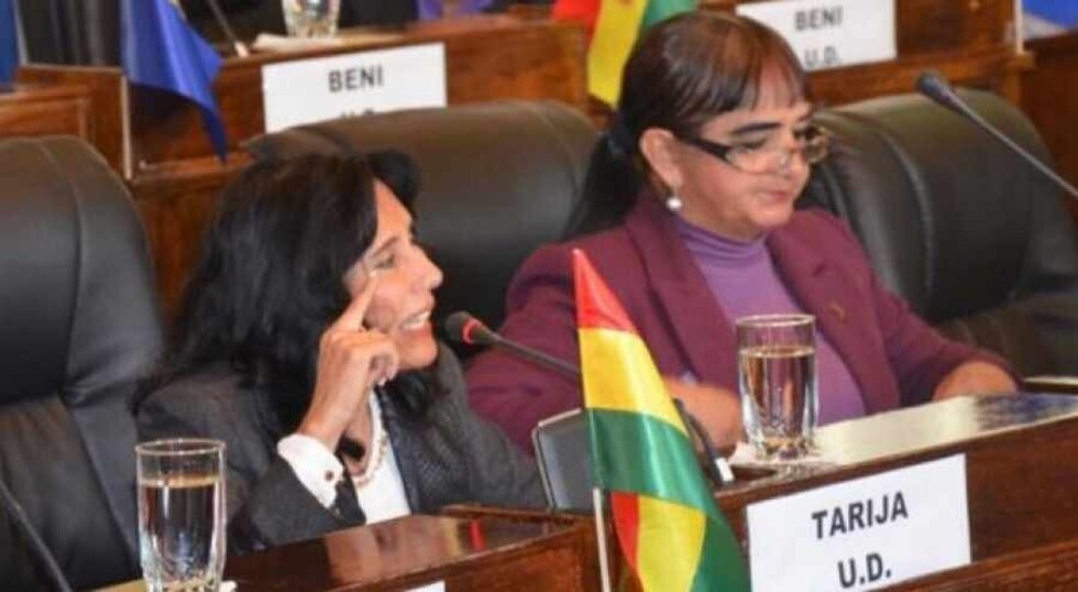 Surgen fricciones  en UD por cargos en el Senadov