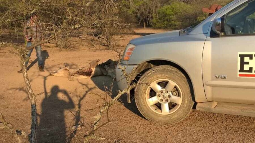 La ruta chaqueña al Paraguay huele a muerte