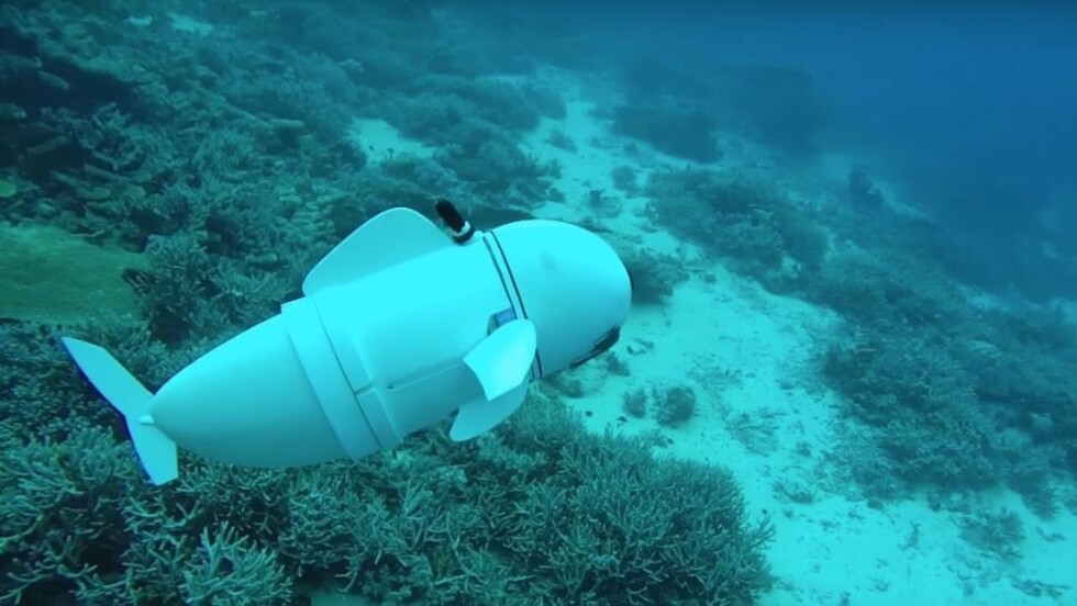 Un pez robot explora el fondo del mar