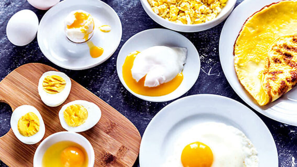 El huevo en la  nutrición