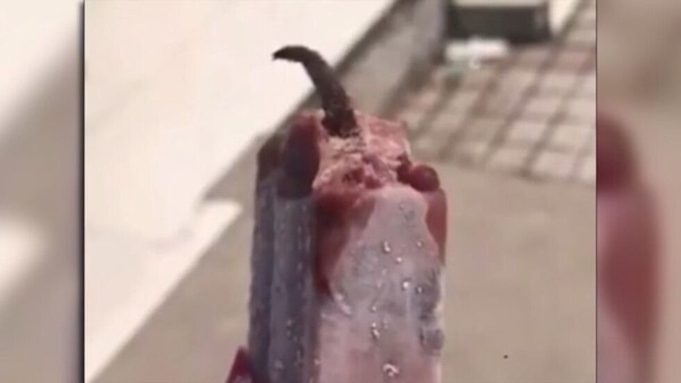 Cliente encontró una cola de ratón en helado