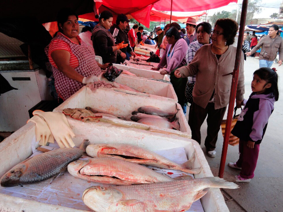 Intendencia decomisa pescado en mal estado en la zona del mercado campesino