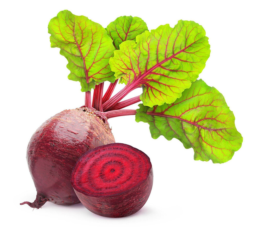 Betarraga en la  nutrición