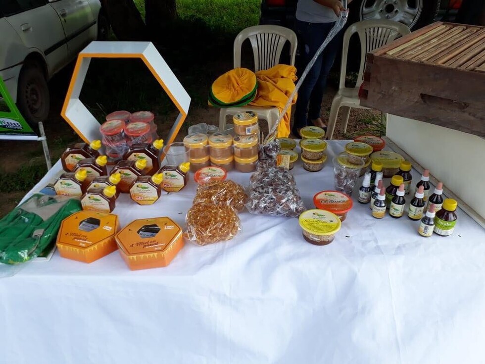 Destacan ley a favor de los productores de miel