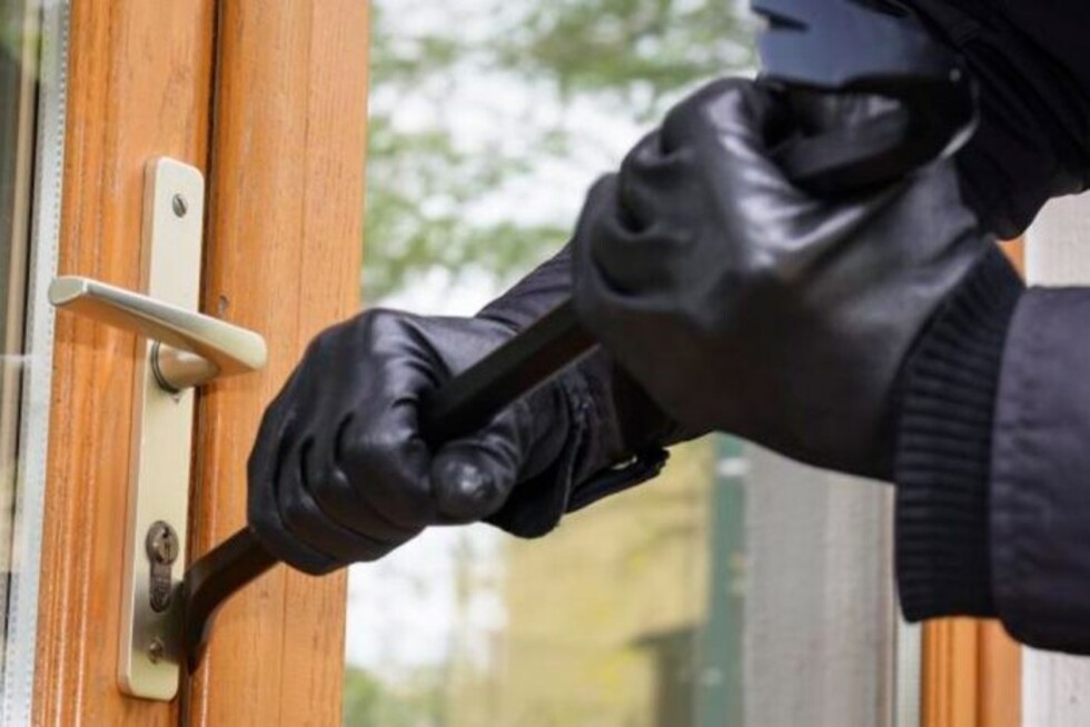 Ladrones mataron a tres perros para robar 1 casa